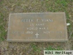 Peter F Viani