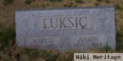 Joseph Luksic