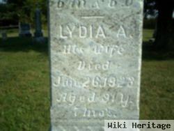 Lydia Ann Tritt Grams