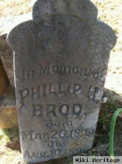 Phillip H Brod