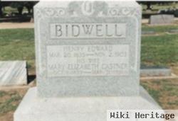 Henry Edward Bidwell