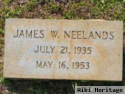 James W Neelands