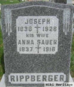 Anna Sauer Rippberger