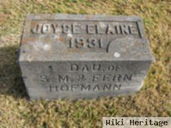 Joyce Elaine Hofmann