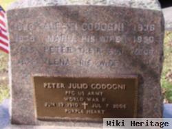 Peter Julio Codogni