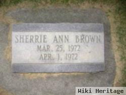 Sherrie Ann Brown