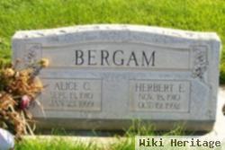 Herbert E. Bergam