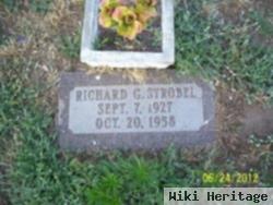 Richard G Strobel