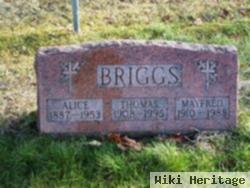 Thomas E. Briggs