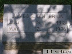 James E Ginter, Jr