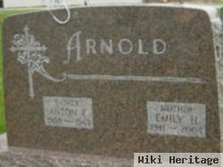 Anton F Arnold