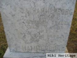 J. L. Hammerborg