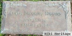 Mary Curtis Brooking Higgins