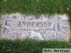 T. Webb Anderson