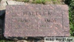 Emma Jane Miller Halleck