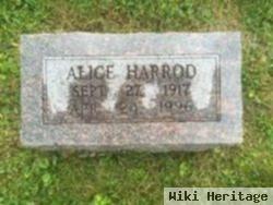 Alice Harrod