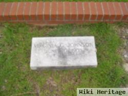 Virginia G Johnson