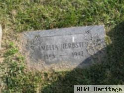 Amelia Klein Herbster