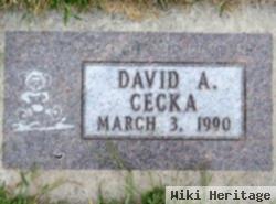 David A. Cecka