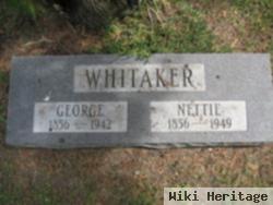 Nettie E. Armstrong Whitaker