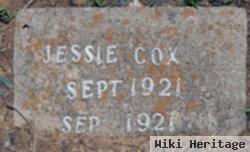 Jessie Cox