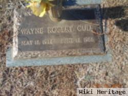 Wayne Robert Culp