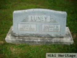 Lucy E. Ames Luney