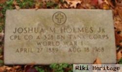 Joshua M Holmes