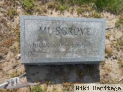 Robert E. Musgrove