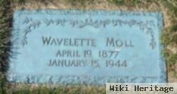 Wavelette Brockman Moll