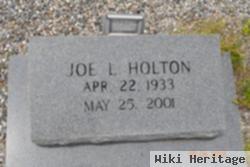 Joe L Holton