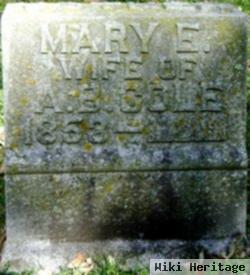 Mary E. Cole