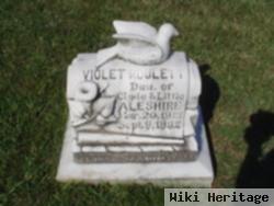 Violet Roulett Aleshire