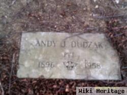 Andy J Dudzak