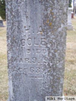 Henry A. Woolery