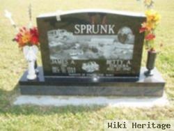 James Allen "jim" Sprunk