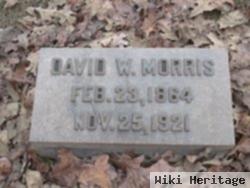 David Webster Morris