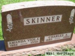 Charles A. Skinner