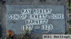 Ray Robert Barnett