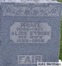 Alice Stein Fair