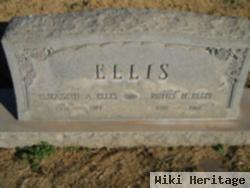 Rufus Harvey Ellis