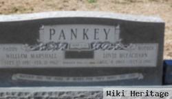 William Marshall "bill" Pankey