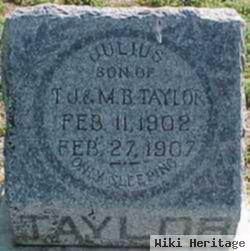 Julius Taylor