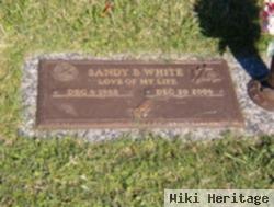 Sandy Benjamin White