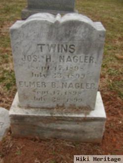 Elmer B Nagler