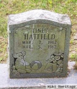 Tiney Hatfield