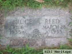 Bruce A. Reed