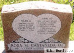 Rosa M. Castaneda