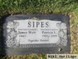 Patricia L Sipes