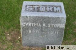 Cynthia A Storm